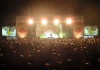 dss-festival