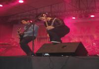 dss-festival
